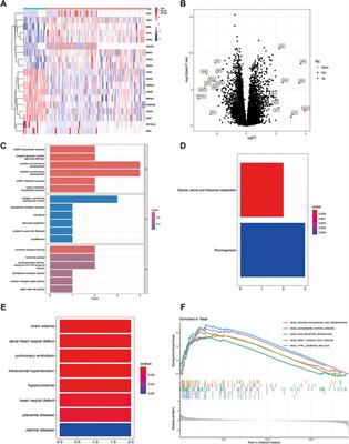 Identification of hub genes in heart failure by integrated bioinformatics analysis and machine learning
